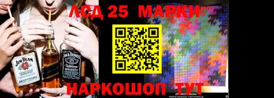 индика Кандалакша