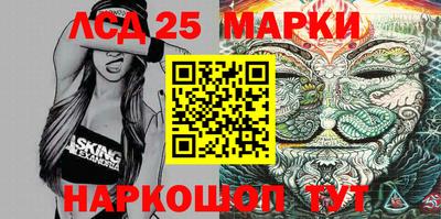 индика Кандалакша