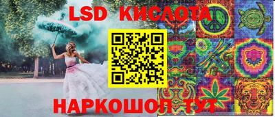 индика Кандалакша