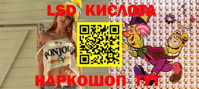 индика Кандалакша