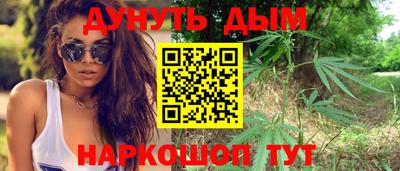 сатива Камышлов