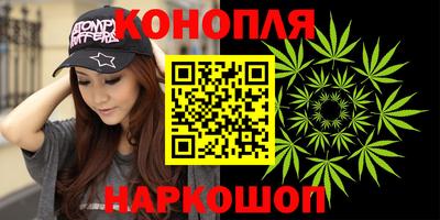 индика Кандалакша