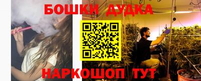 индика Кандалакша