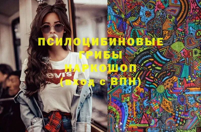 хочу   Дятьково  Псилоцибиновые грибы ЛСД 