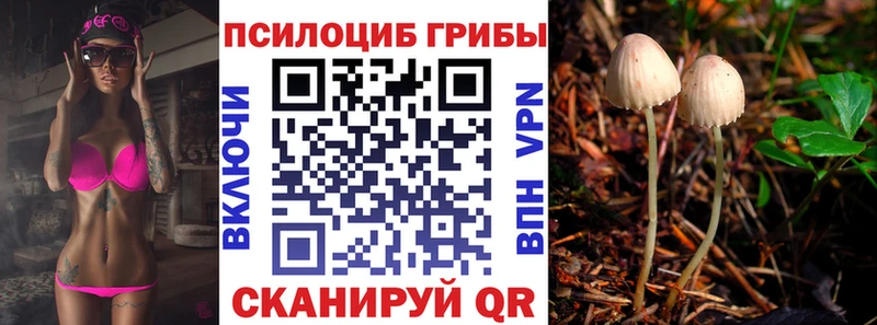 Псилоцибиновые грибы прущие грибы  Дятьково 