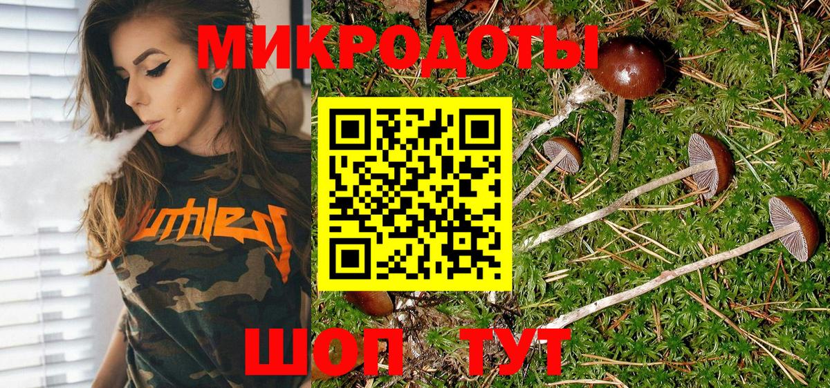Псилоцибиновые грибы мухоморы Дятьково