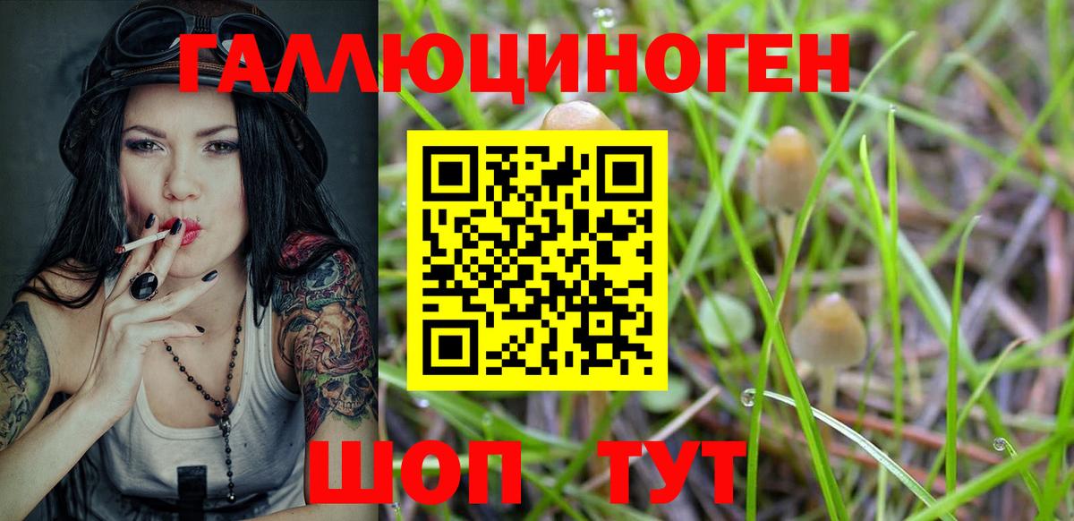 Дятьково  Галлюциногенные грибы MAGIC MUSHROOMS  Вход с VPN 
